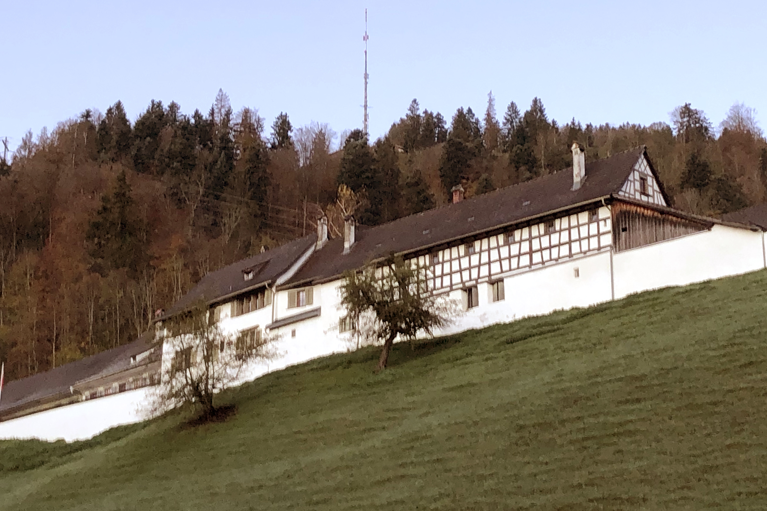 Gewerbeverein Wil